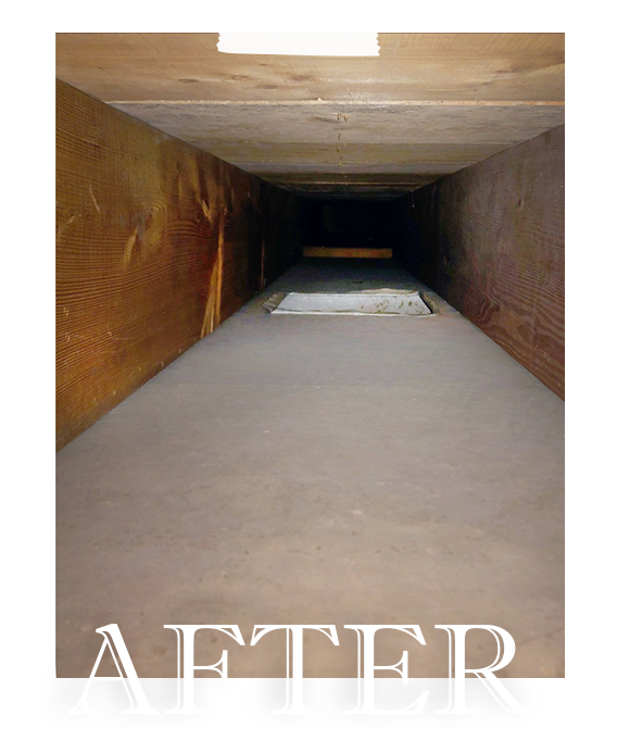 Denison Carpet Cleaning After After Cleaning