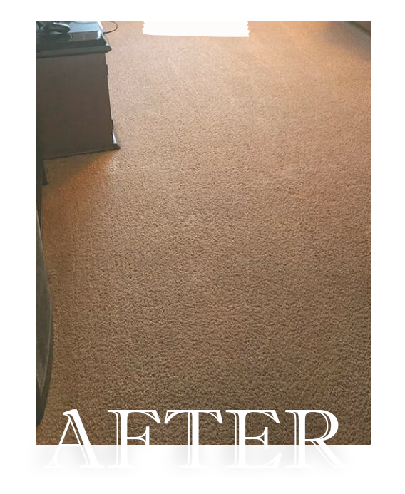 Denison Carpet Cleaning After After Cleaning