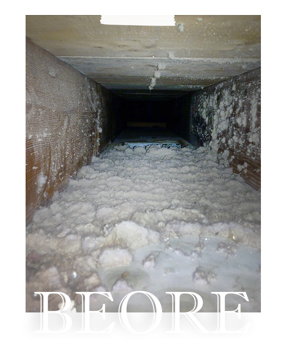 Denison Carpet Cleaning Before Before Cleaning