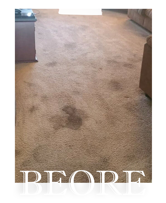 Denison Carpet Cleaning Before Before Cleaning